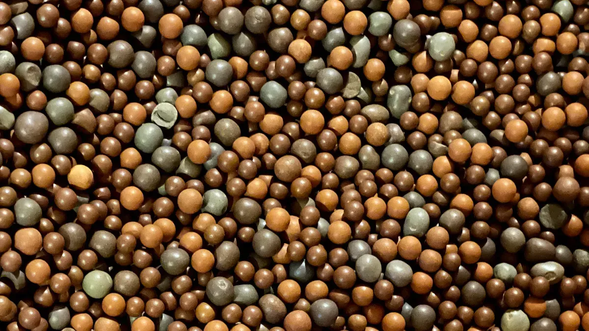 Dry Granulation and NPK Granulator Performance