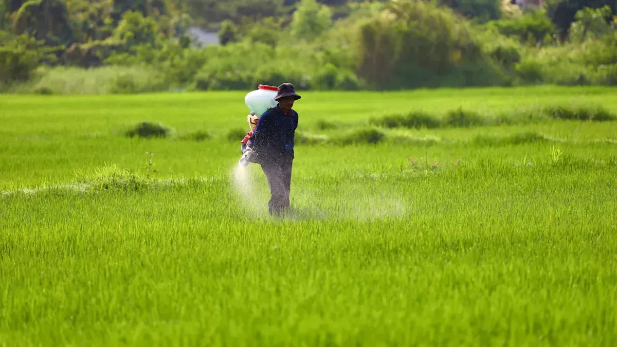 Use the granulation line