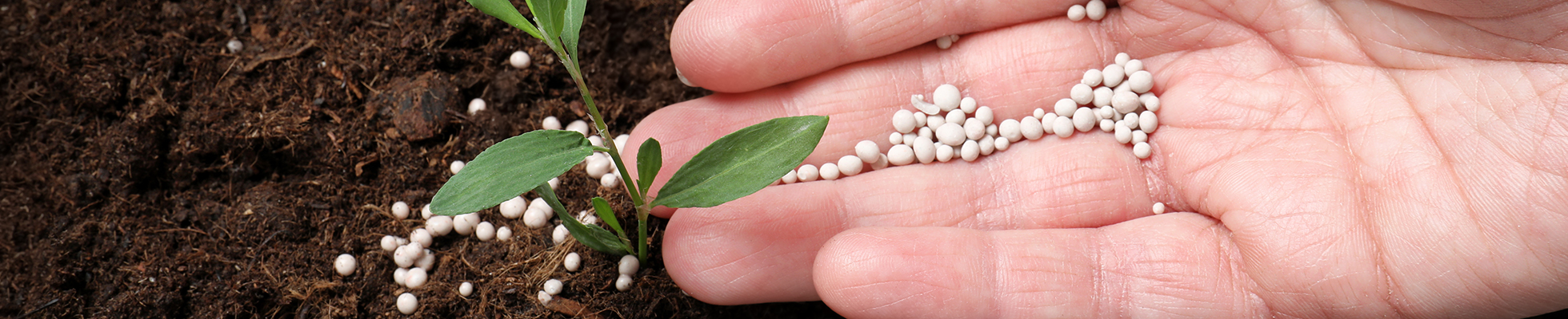 Agricultural fertilizer